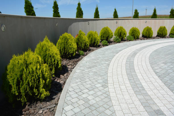 Best Residential Paver Driveway  in Pigeon, MI